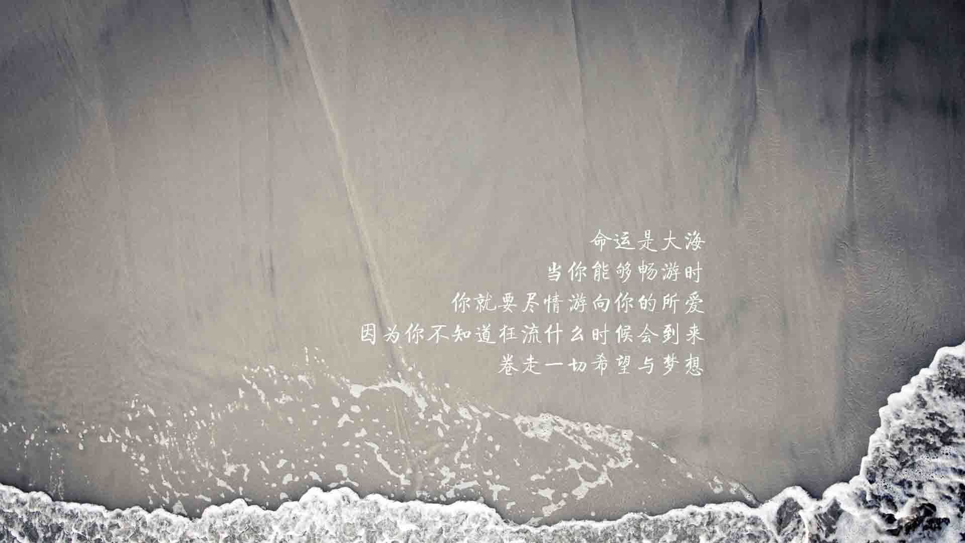 _女单新王登场：新人破坏旧格局_，女单选手