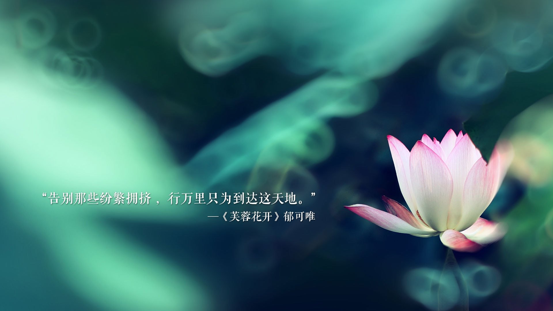 fb体育全站-_青少年极限攀爬赛：从低难度到高挑战_，青少年攀岩比赛规则