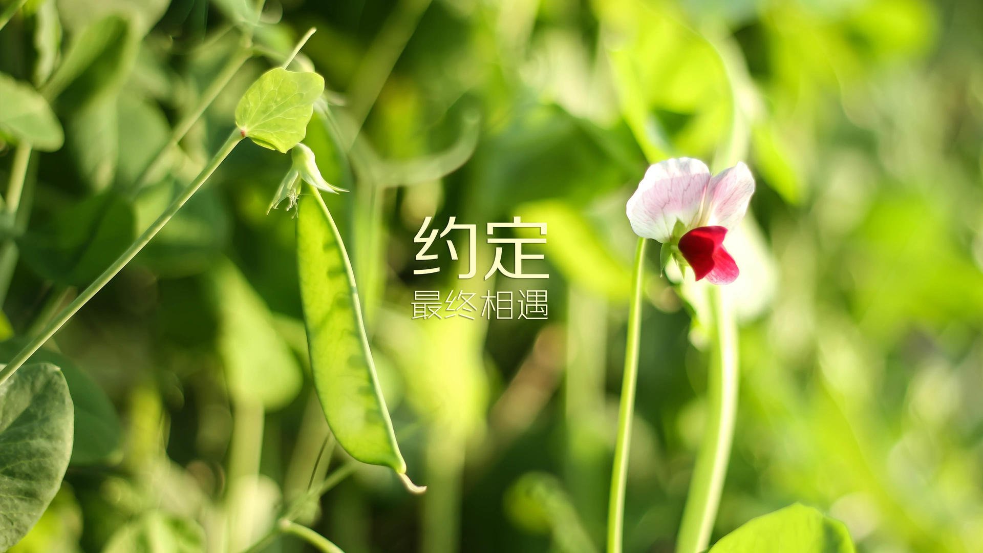 FB体育入口-《《绝地求生》优化载具系统，游戏玩法更加丰富》，绝地求生优化软件哪个好