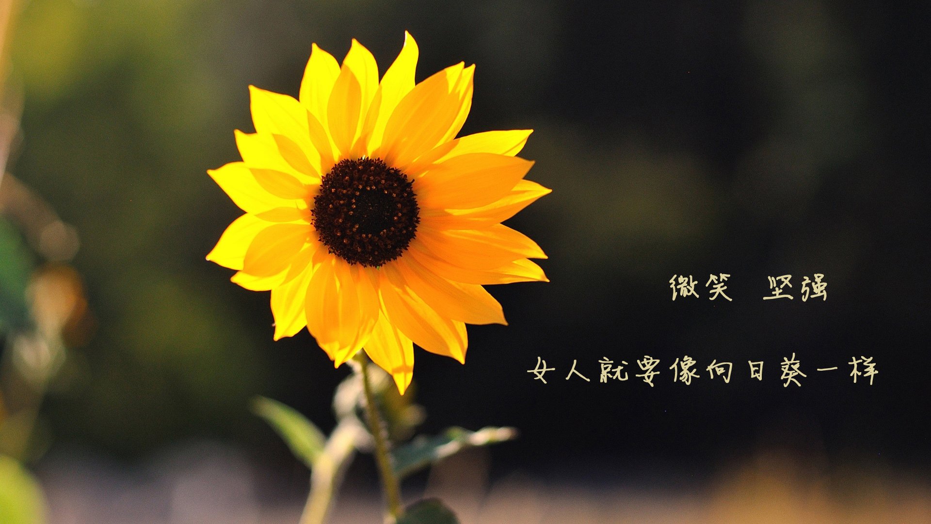 fb体育平台安全-巴黎奥运会资格系列赛共有来自120多个国家和地区的464名运动员参赛。