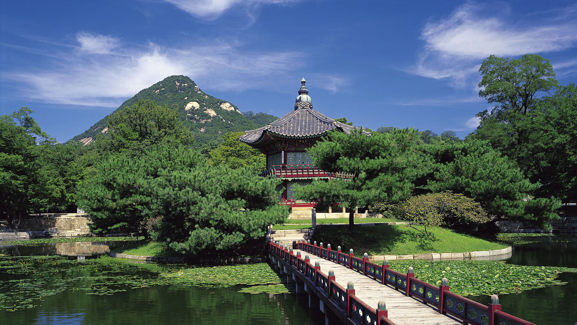 球场瞬间：令人心跳加速的精彩时刻集锦，球场上的瞬间