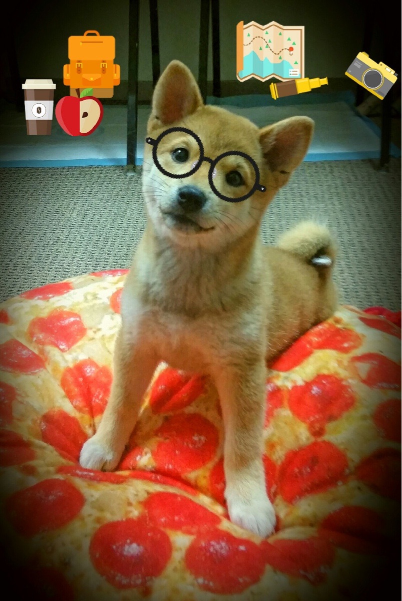 女足技战术演练细致，阵型默契度提升，女足练兵