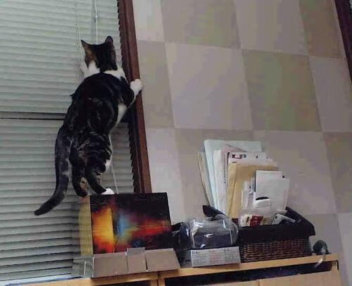 巴萨在西班牙超级杯决赛中4-1战胜皇马，夺得冠军，西甲争冠形势_巴萨7连胜可夺冠 皇马看运气