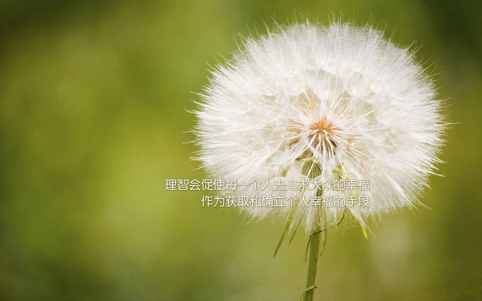 广东队主帅获赞扬,球队士气高涨,广东队的广东球员