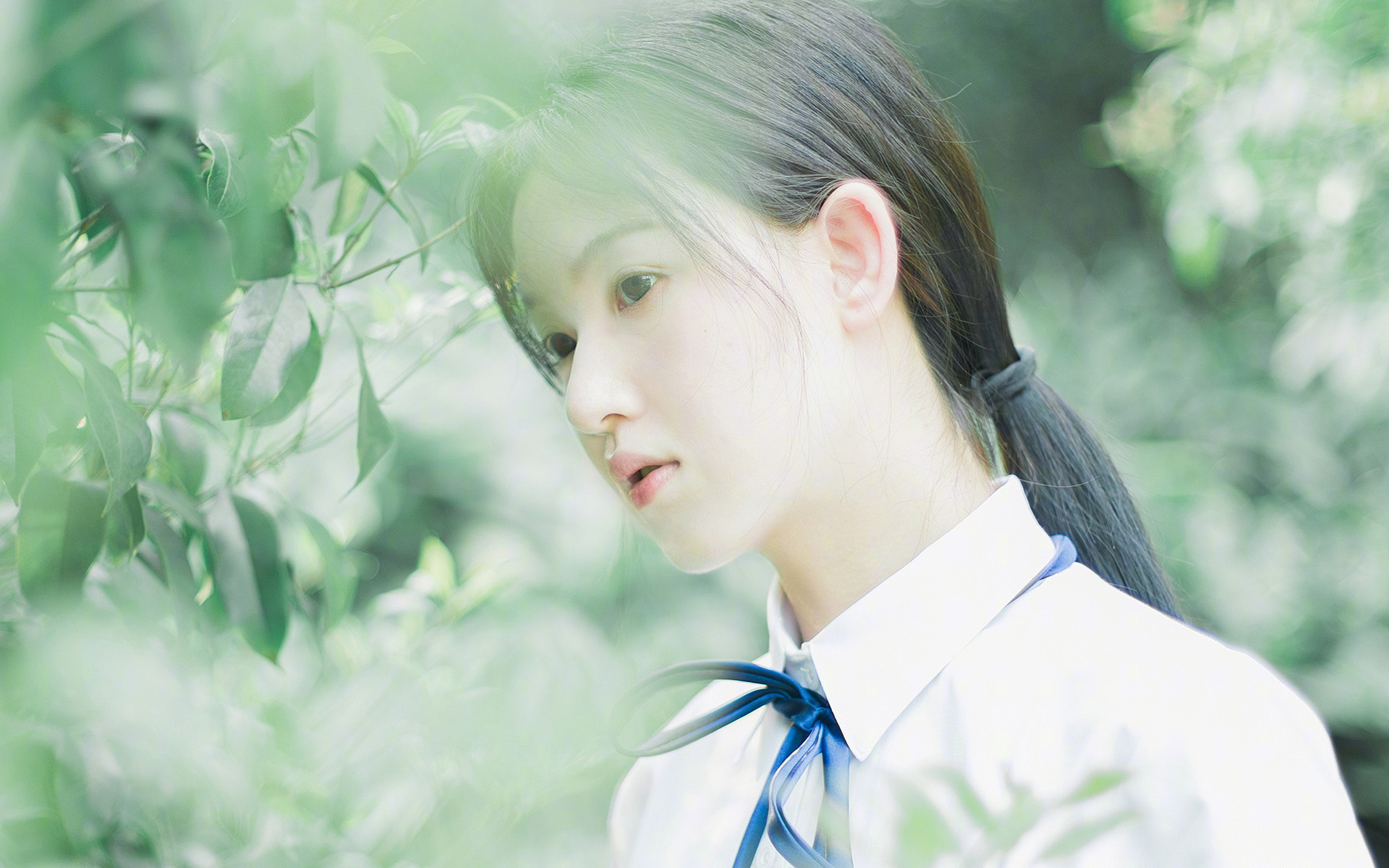 fb体育平台安全-德国队斩获胜利！欧洲杯预选赛最新进展！，德国队斩获胜利!欧洲杯预选赛最新进展