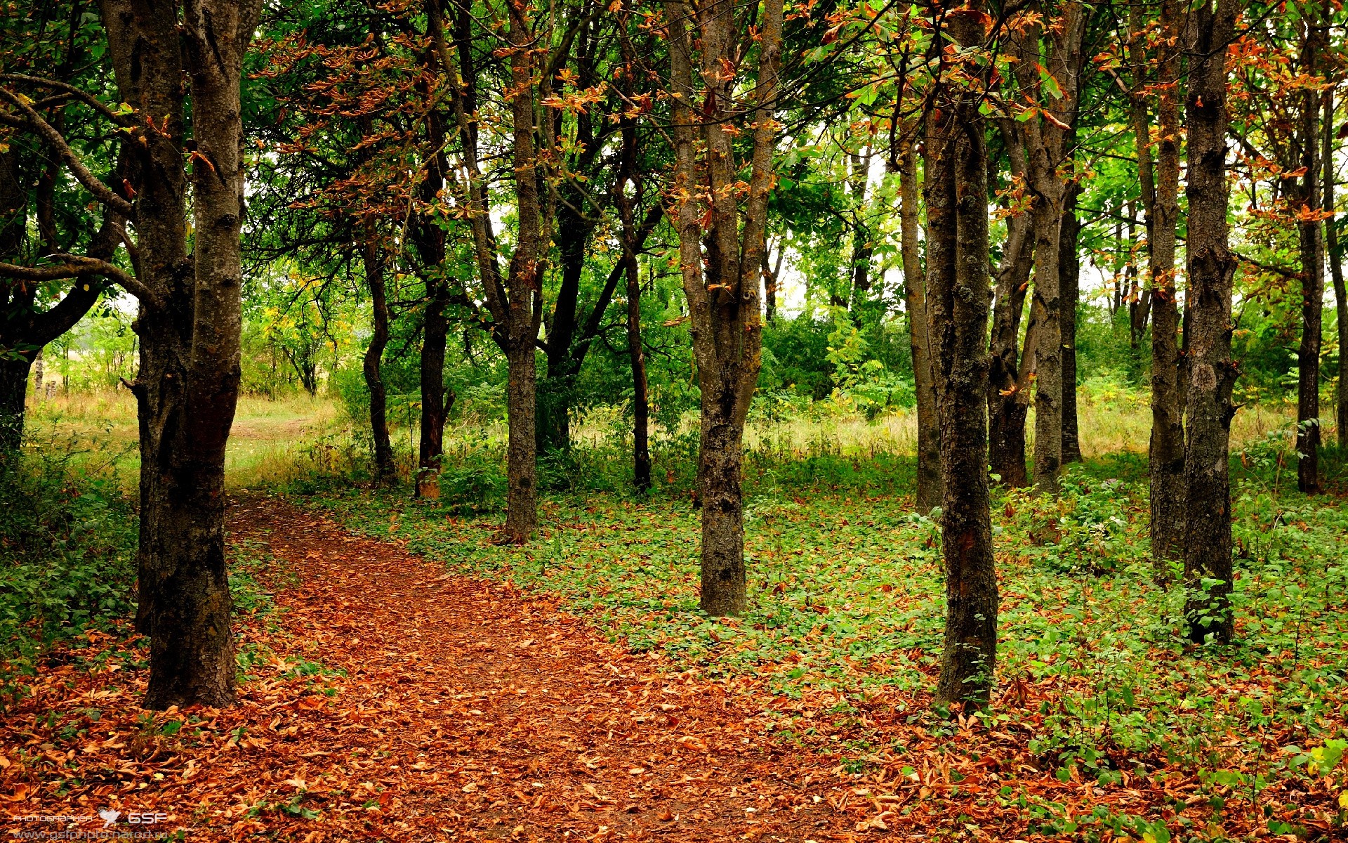 世界青年排球锦标赛中国男队稳扎稳打，世界青年锦标赛是世界性排球比赛吗