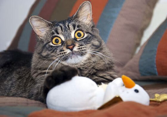 中超比赛节奏控制球员作用分析，中超调节费新政