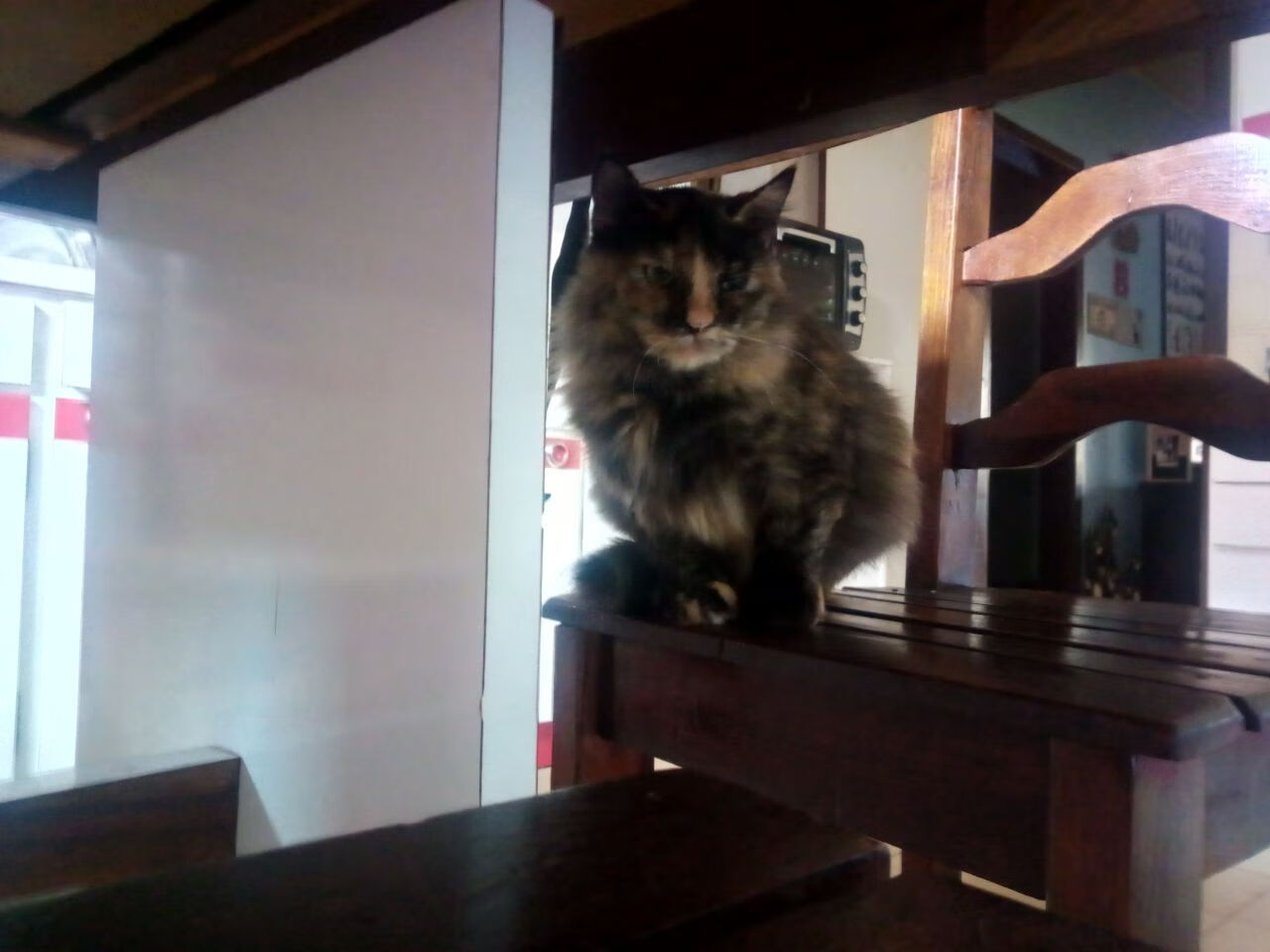 全国青少年射箭锦标赛在武汉拉开帷幕，竞技与文化融合，青少年射箭比赛以后有没有前途