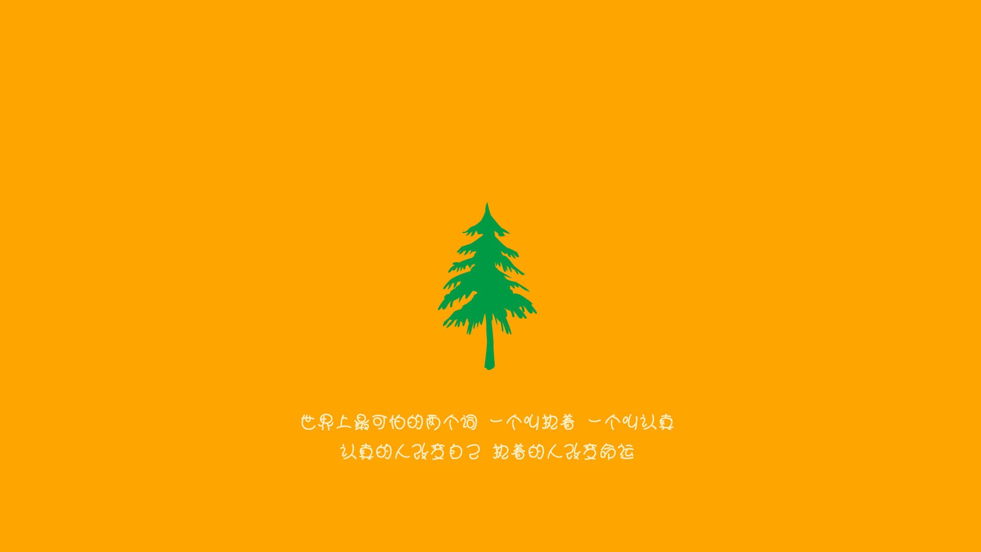 “新秀崭露锋芒，成都滑轮赛场竞争加剧”