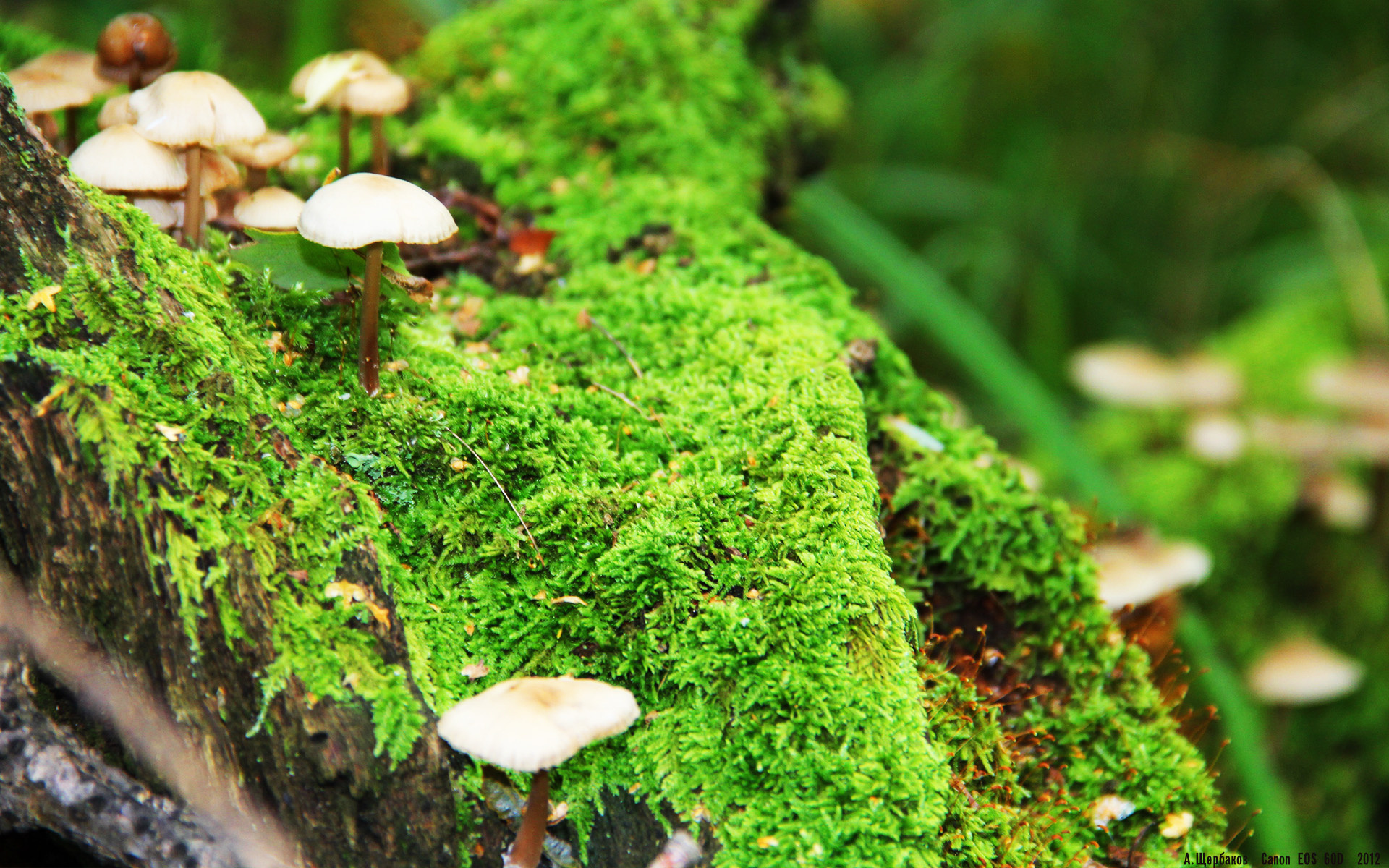 世界杯预选赛中国队逆袭 球员拼搏精神感动人心,世界杯预选赛 中国队出线分析