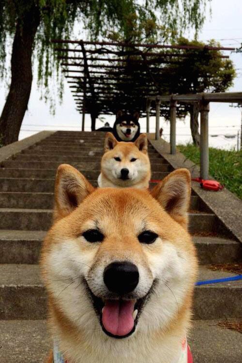 中国香港队如何加强国际合作与交流,提升团队战术执行力,香港队一起合影