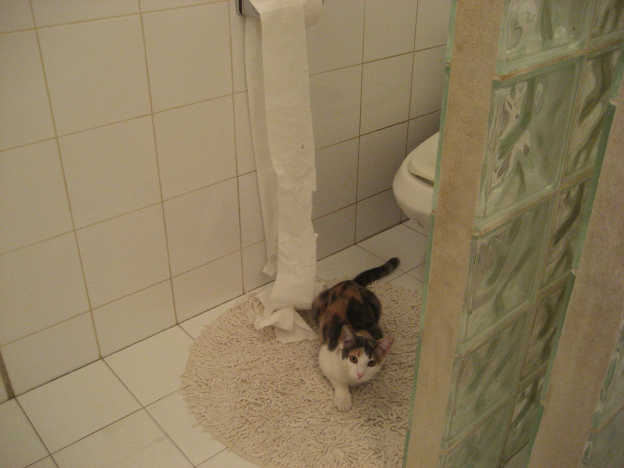 体育医疗保障体系不断完善,医疗保健体育